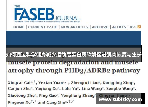 如何通过科学健身减少运动后蛋白质降解促进肌肉恢复与生长